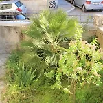 Apartment With Wifi - 7586